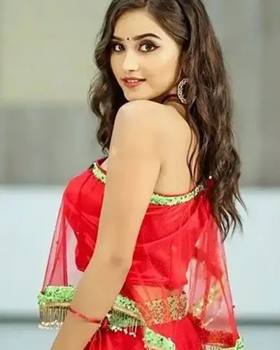 Call Girls Service Vilavancode